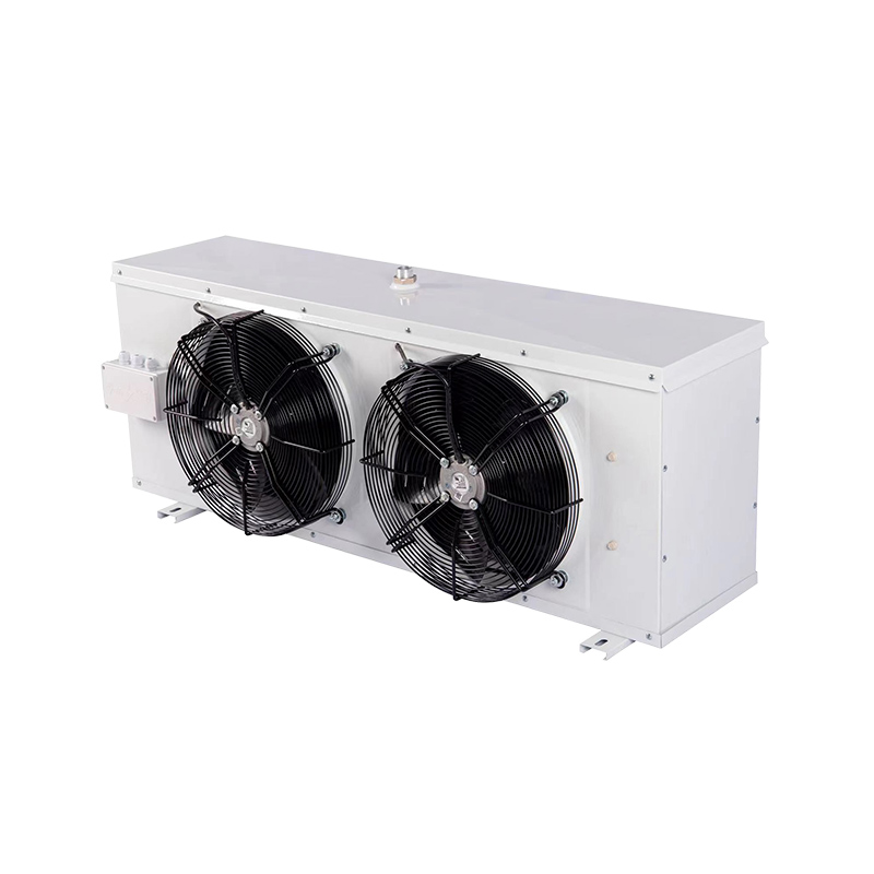 DJ genus humilis-temperatus evaporator